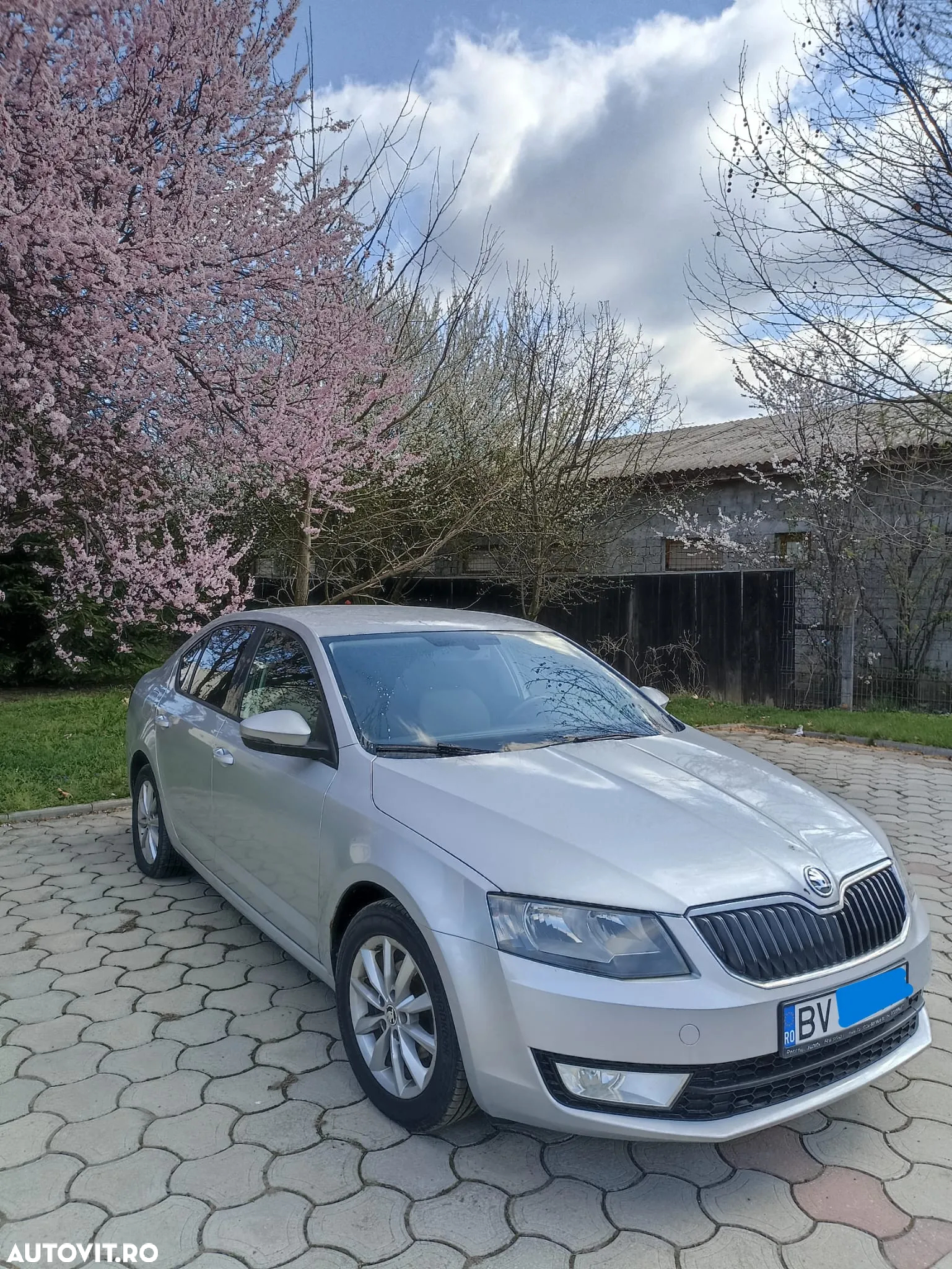 Skoda Octavia - 8