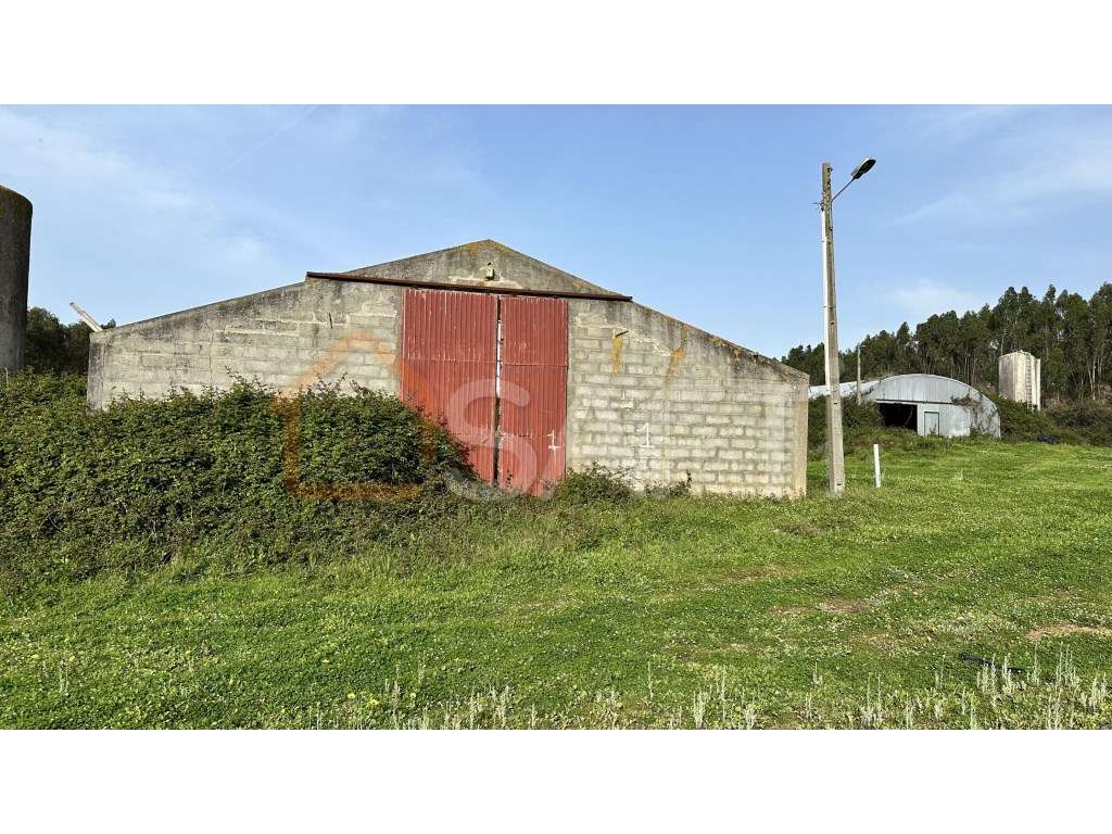 Terreno rustico industrial - Grande imagem: 3/38