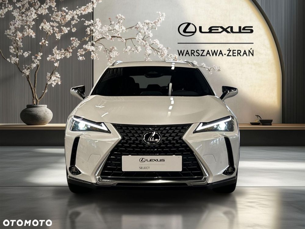 Lexus UX 300h Business - 10