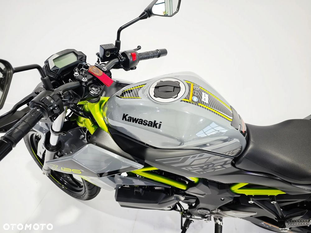 Kawasaki Z - 11