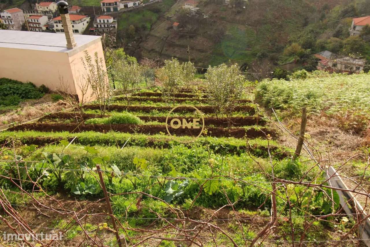 Terreno 453m2 - Grande imagem: 2/3