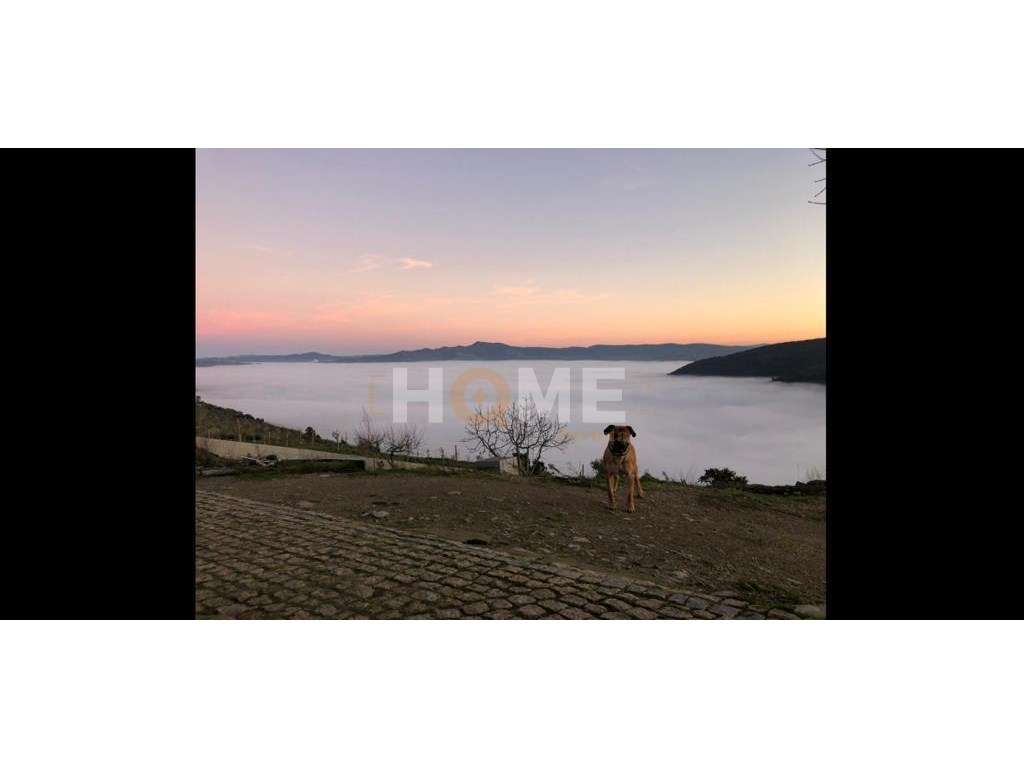 Terreno rústico com 18.554 m2 - São João da Pesqueira - 200m dos fa... - Grande imagem: 2/14