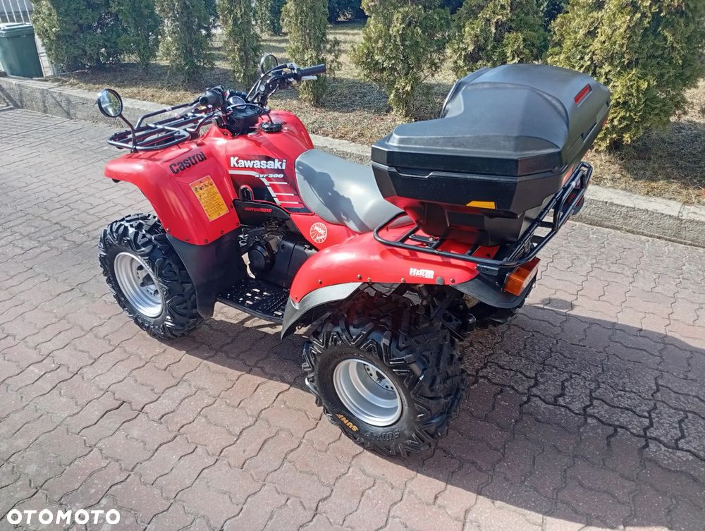 Kawasaki Brute Force - 6