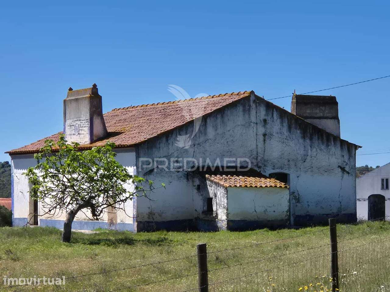 Herdade com elevado potencial de investimento em Pavia,Mora. - Grande imagem: 4/11