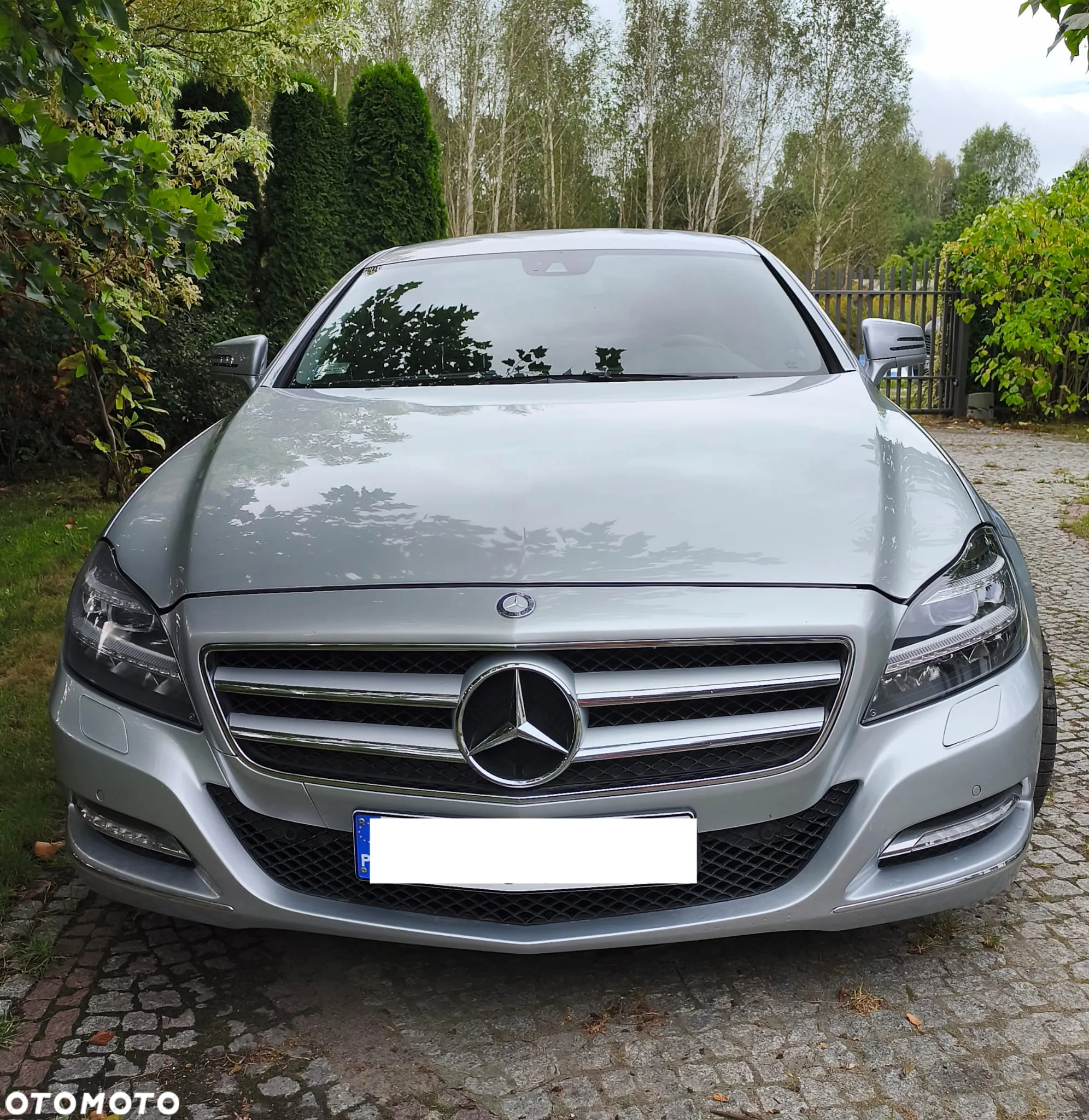 Mercedes-Benz CLS 250 (BlueTEC) d - 2