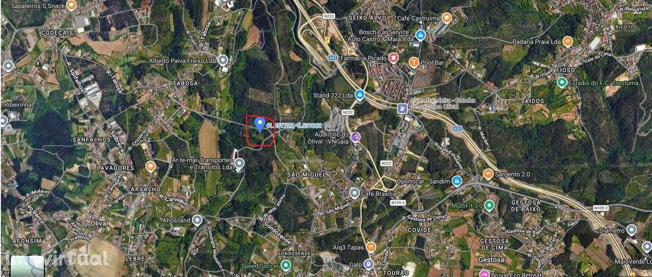 Terreno rústico com 24450m2 em Olival, Vila Nova de Gaia. - Grande imagem: 3/9