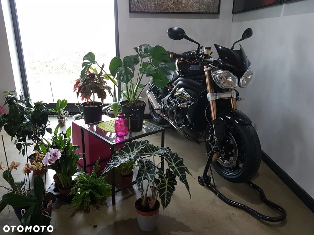 Triumph Speed Triple - 17