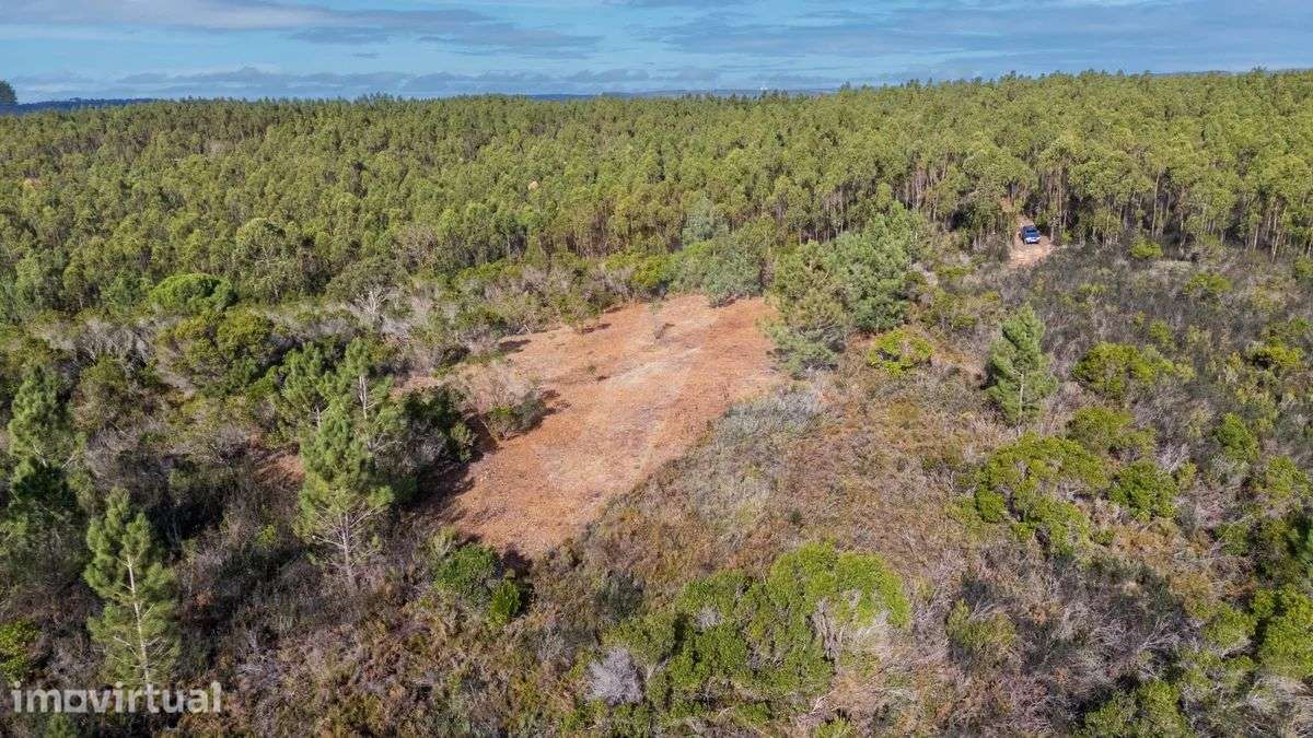10 Hectares de Natureza Imaculada - Apenas a 5 Minutos de Aljezur - Grande imagem: 3/14