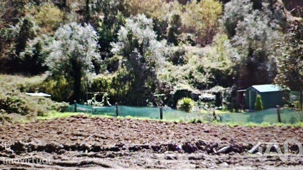 Terreno em Foz do Sousa e Covelo de 3200,00 m2 - Grande imagem: 3/27
