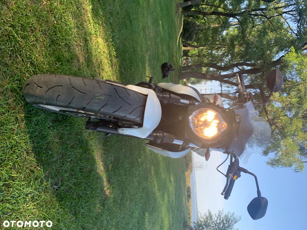 Suzuki Gladius - 5