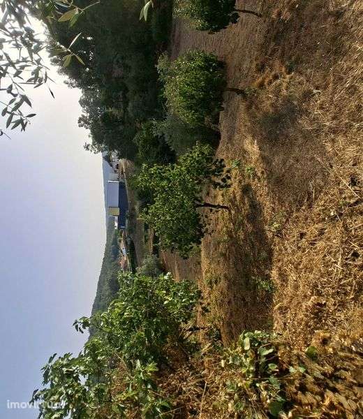 Vende-se terreno com 1250m2 e casa antiga em ruinas - Grande imagem: 4/11