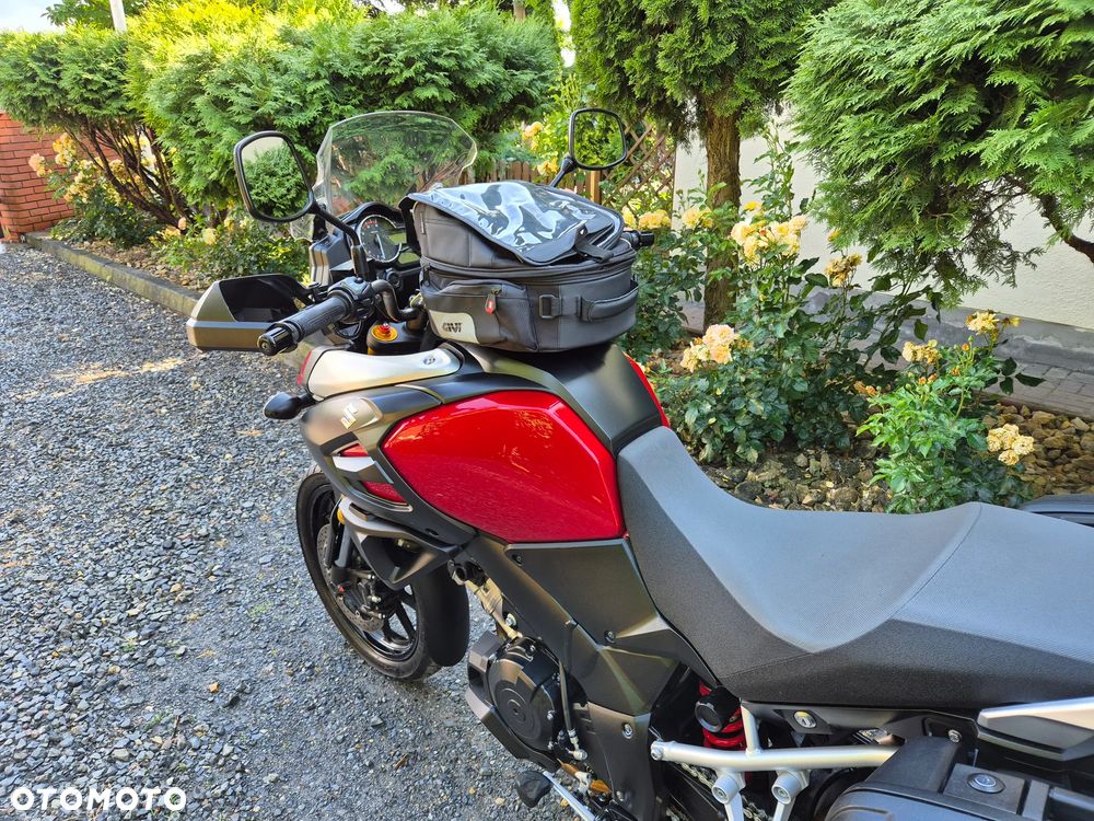 Suzuki DL - 8