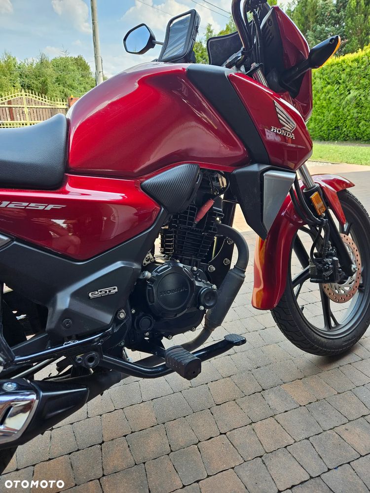 Honda CBF - 3