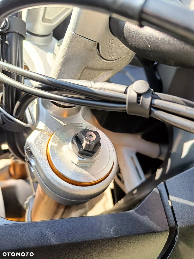 Triumph Tiger - 16