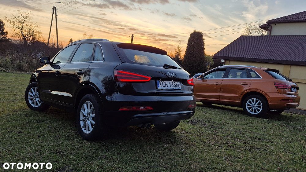 Audi Q3 2.0 TDI Edycja Specjalna - 10