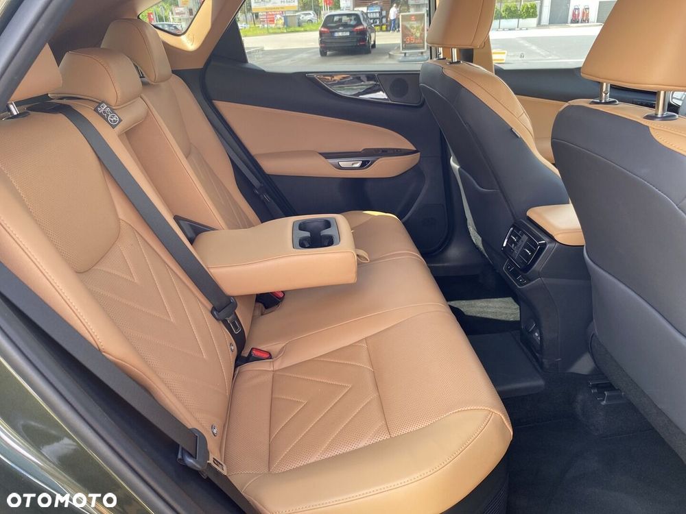 Lexus NX - 22