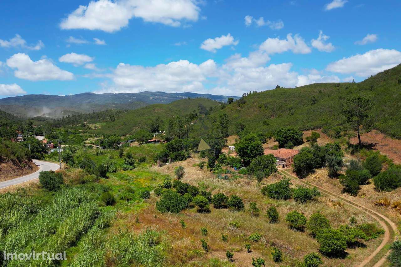 Terreno rústico em Mexilhoeira Grande com cerca de 2,4 ha de horta e s - Grande imagem: 5/16