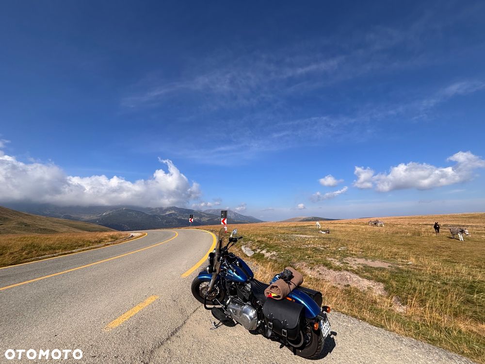 Harley-Davidson Softail - 13