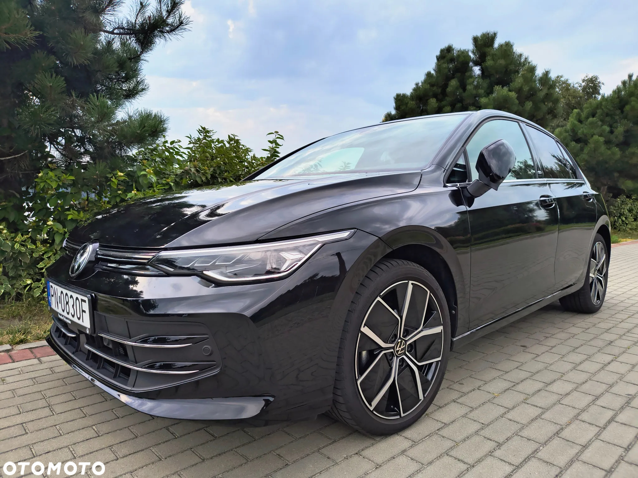 Volkswagen Golf VIII 1.5 TSI Edition 50 - 2