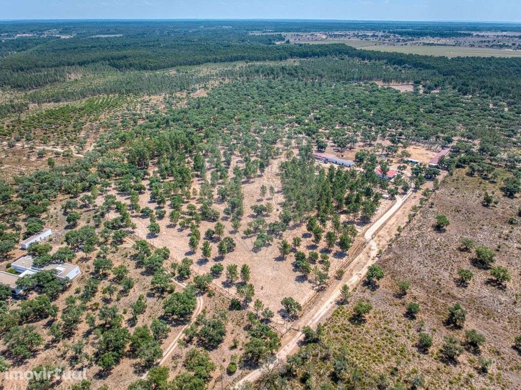 Terreno  para venda - Grande imagem: 2/49