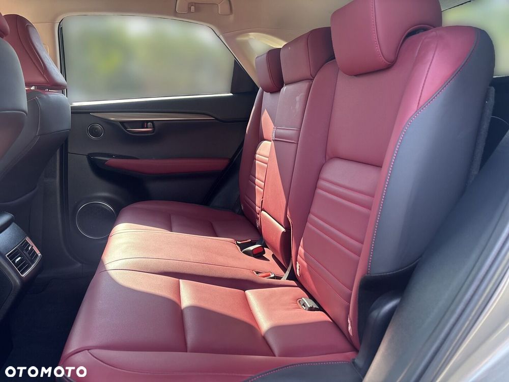 Lexus NX 300h F Impression AWD - 14