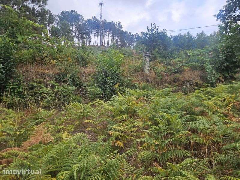 Terreno viável para construção. Negociável - Grande imagem: 2/12