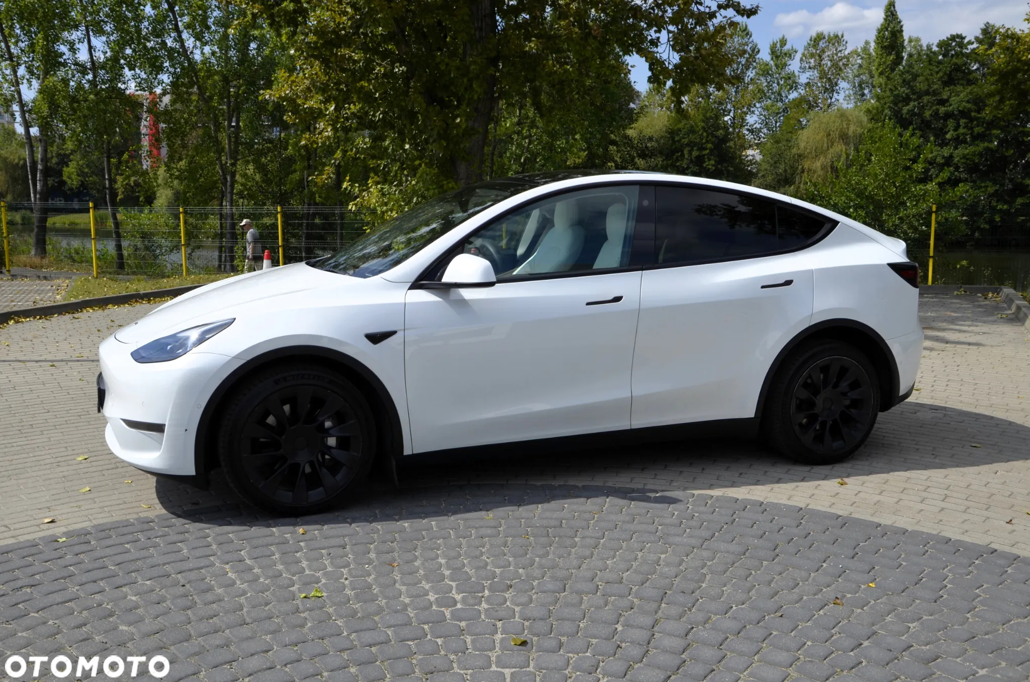 Tesla Y RWD - 3