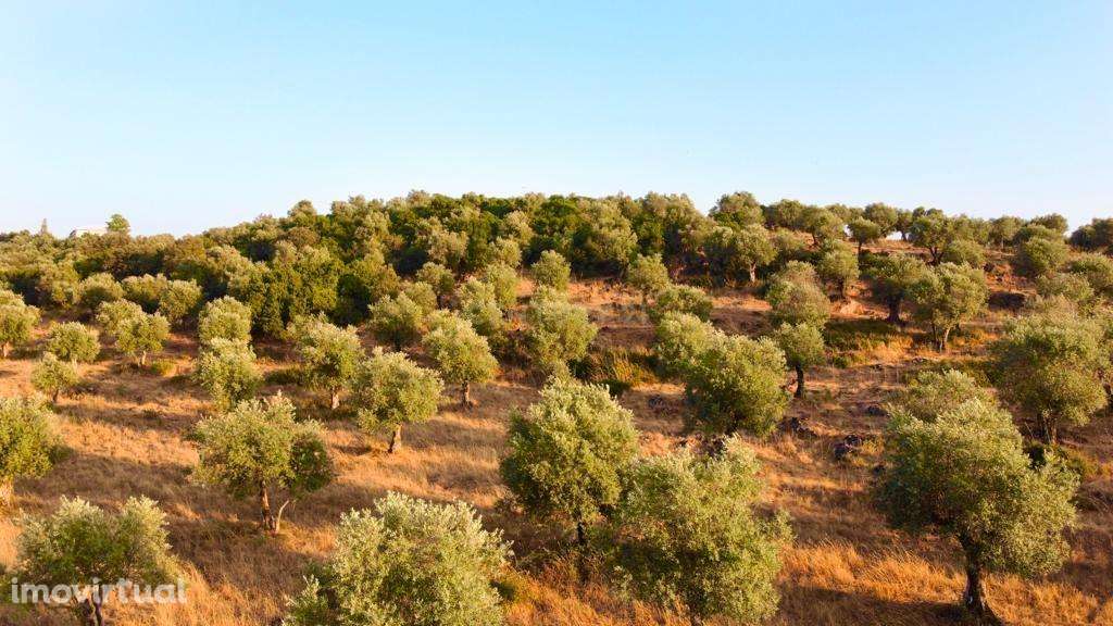 Terreno rústico com 135.500 m2  em solo urbano, urbanizável - em Estre - Grande imagem: 4/7