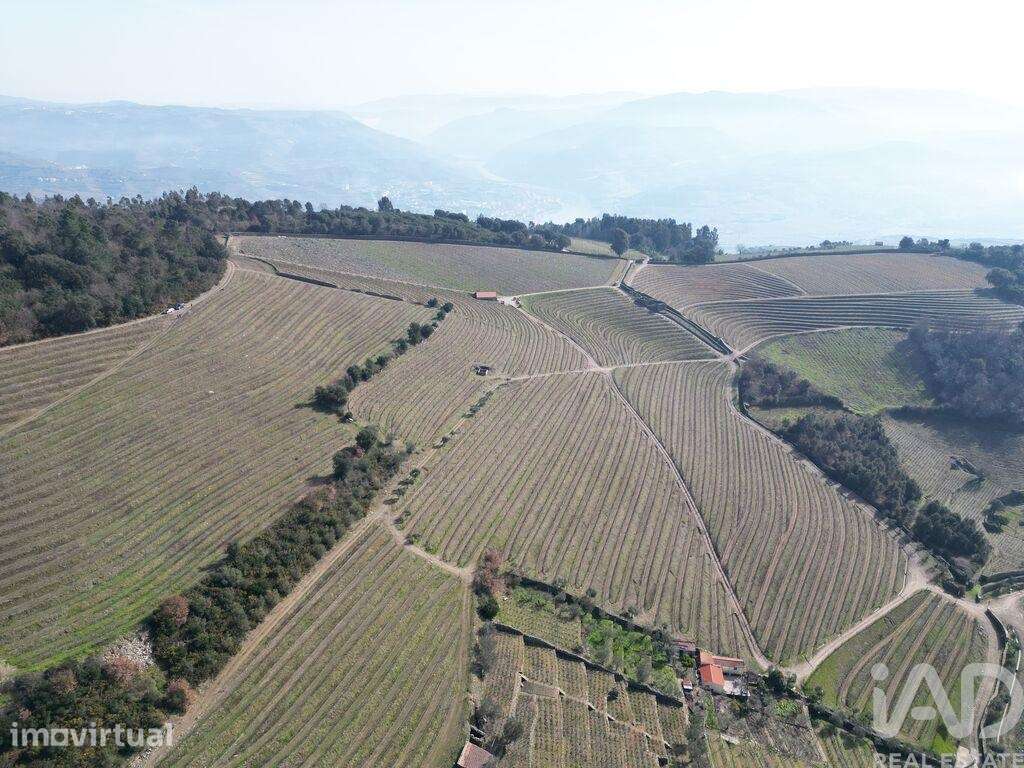 Quinta em Mesão Frio (Santo André) de 300,00 m2 - Grande imagem: 3/30