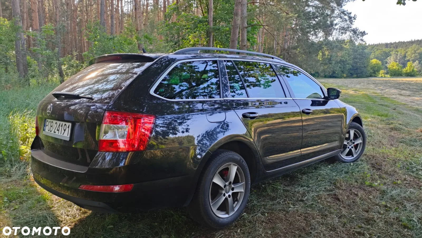 Skoda Octavia 1.6 TDI Ambition DSG - 13