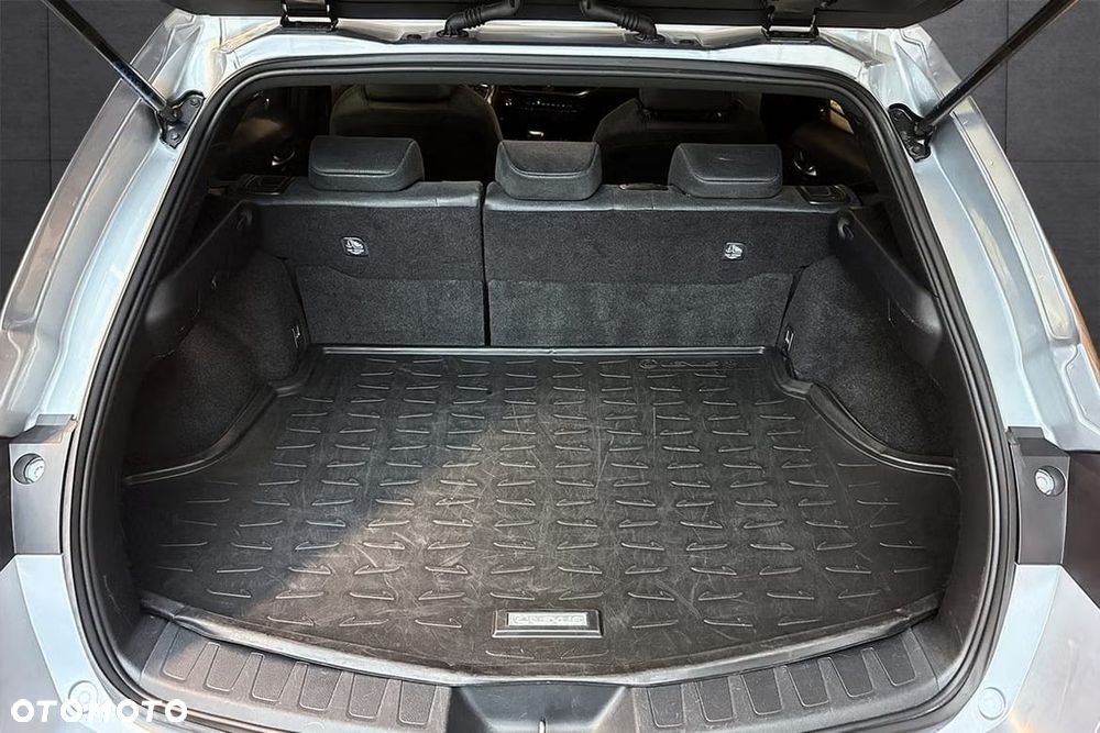 Lexus UX 250h (E-FOUR) Luxury Line - 20