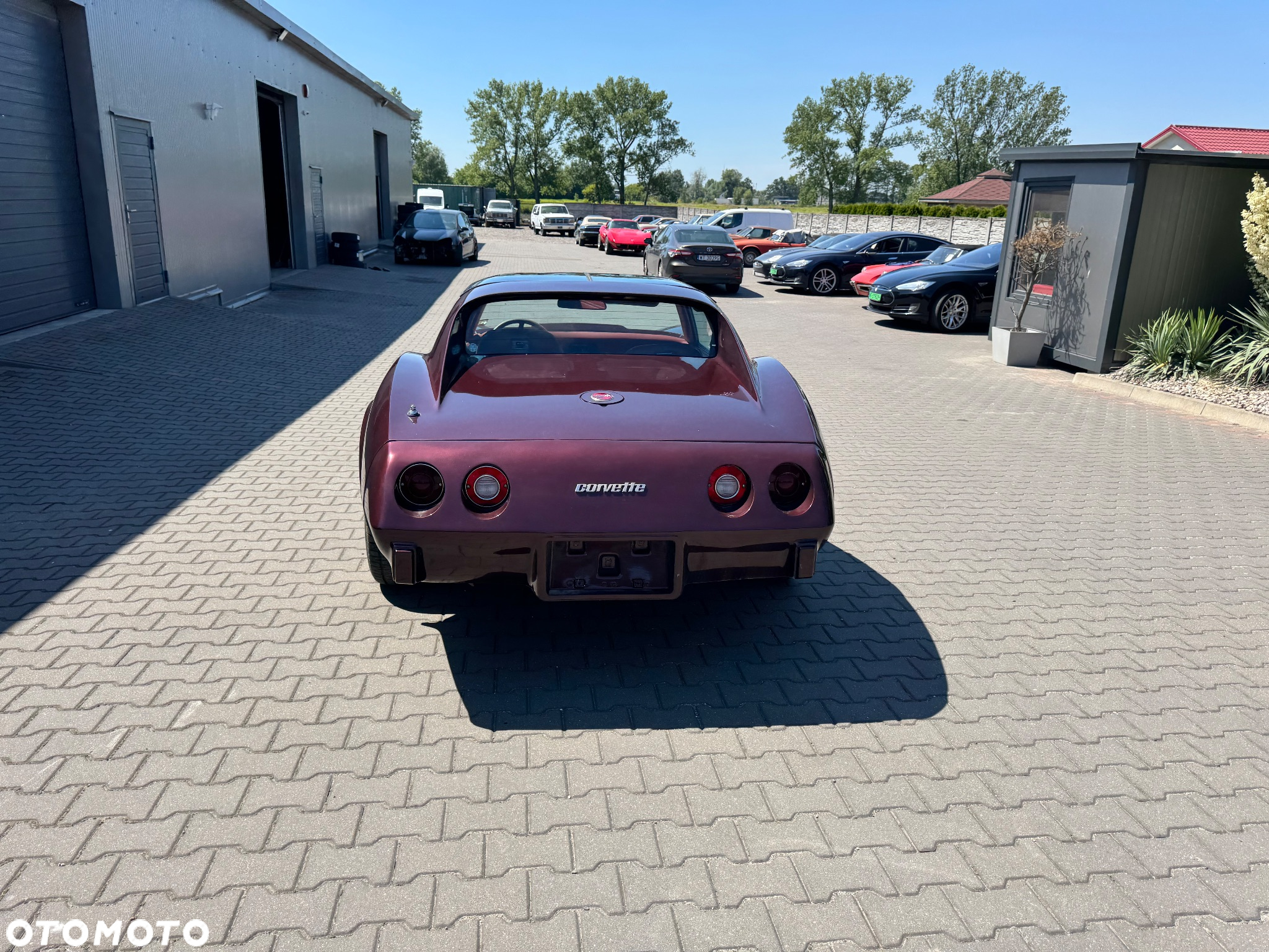 Chevrolet Corvette - 23