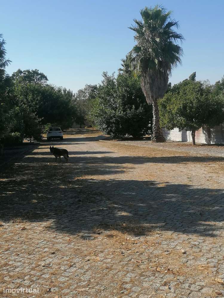 Quinta com 2 moradias em Tábua - Grande imagem: 4/40