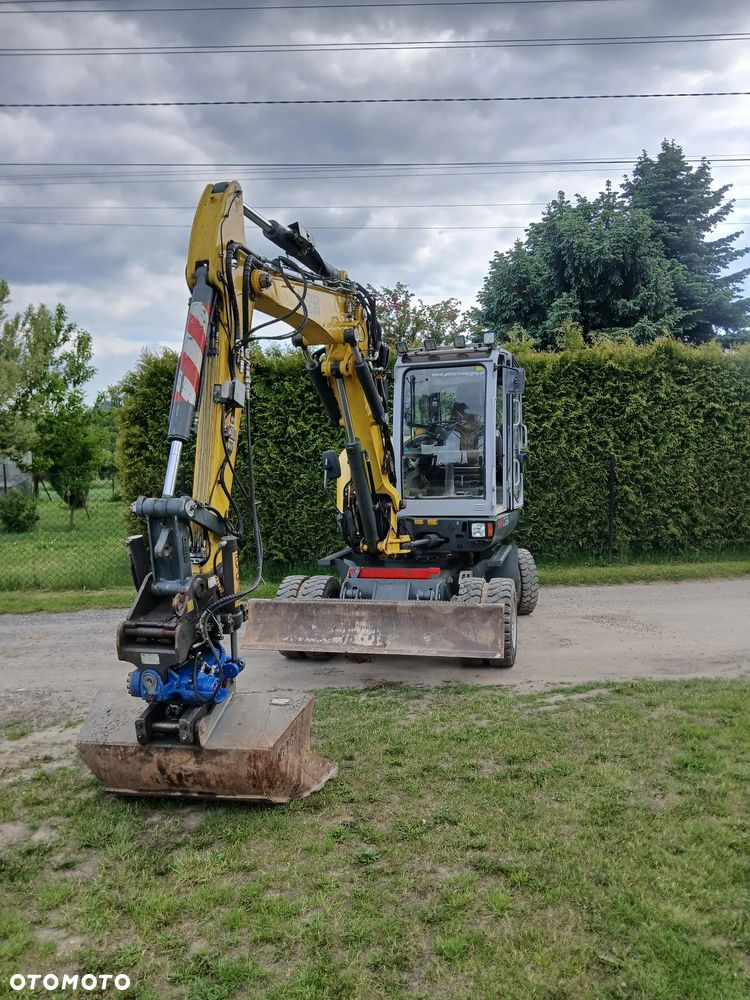 Wacker Neuson 6503 - 1