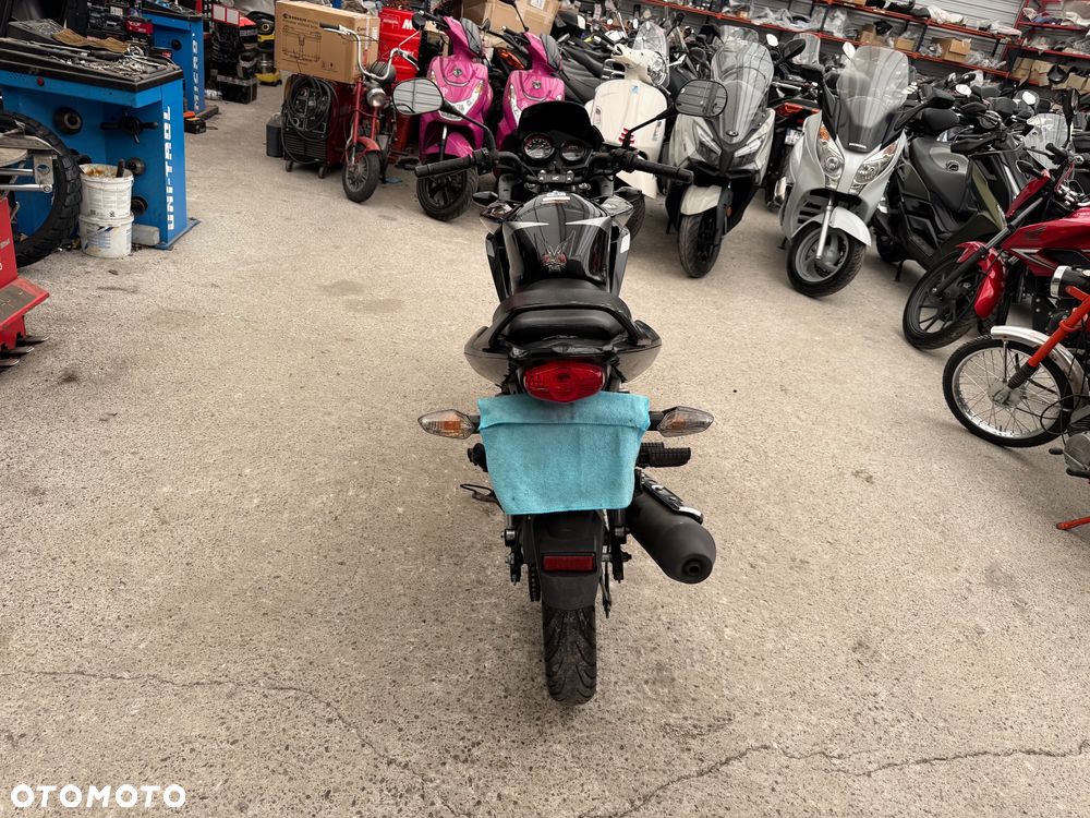 Honda CBF - 6