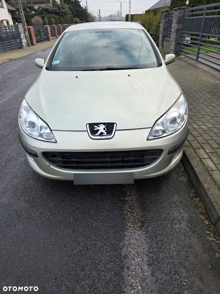 Peugeot 407 - 1