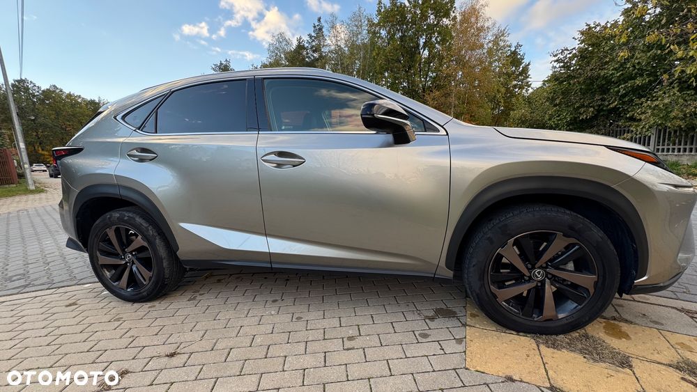 Lexus NX 300 Business Edition AWD - 11