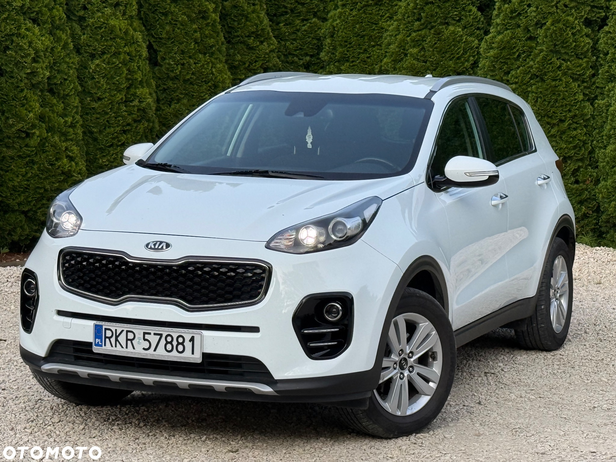 Kia Sportage 1.6 GDI Business Line 2WD - 8