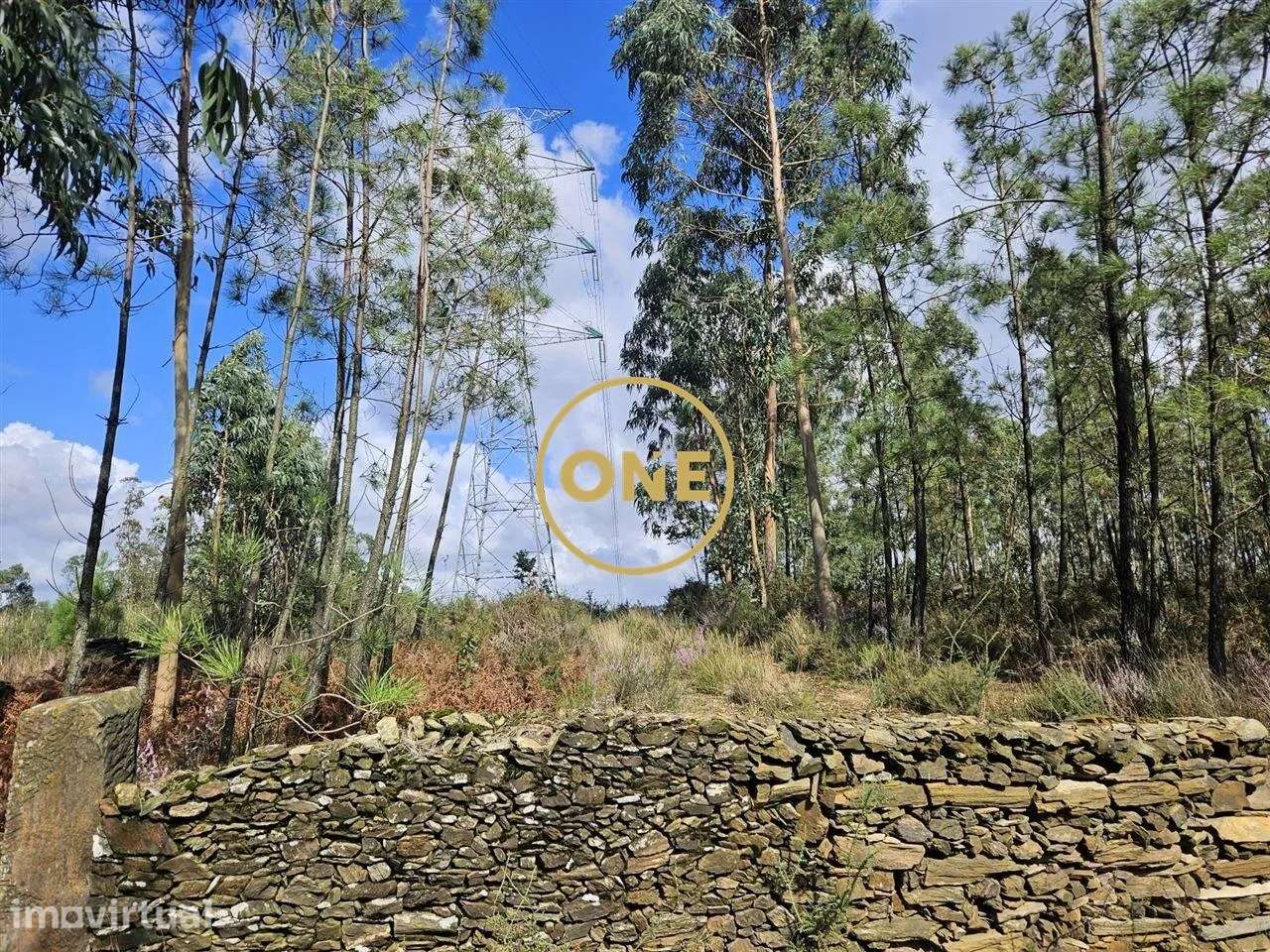 Terreno Florestal com 14.500 m2 em Balazar - Grande imagem: 3/17