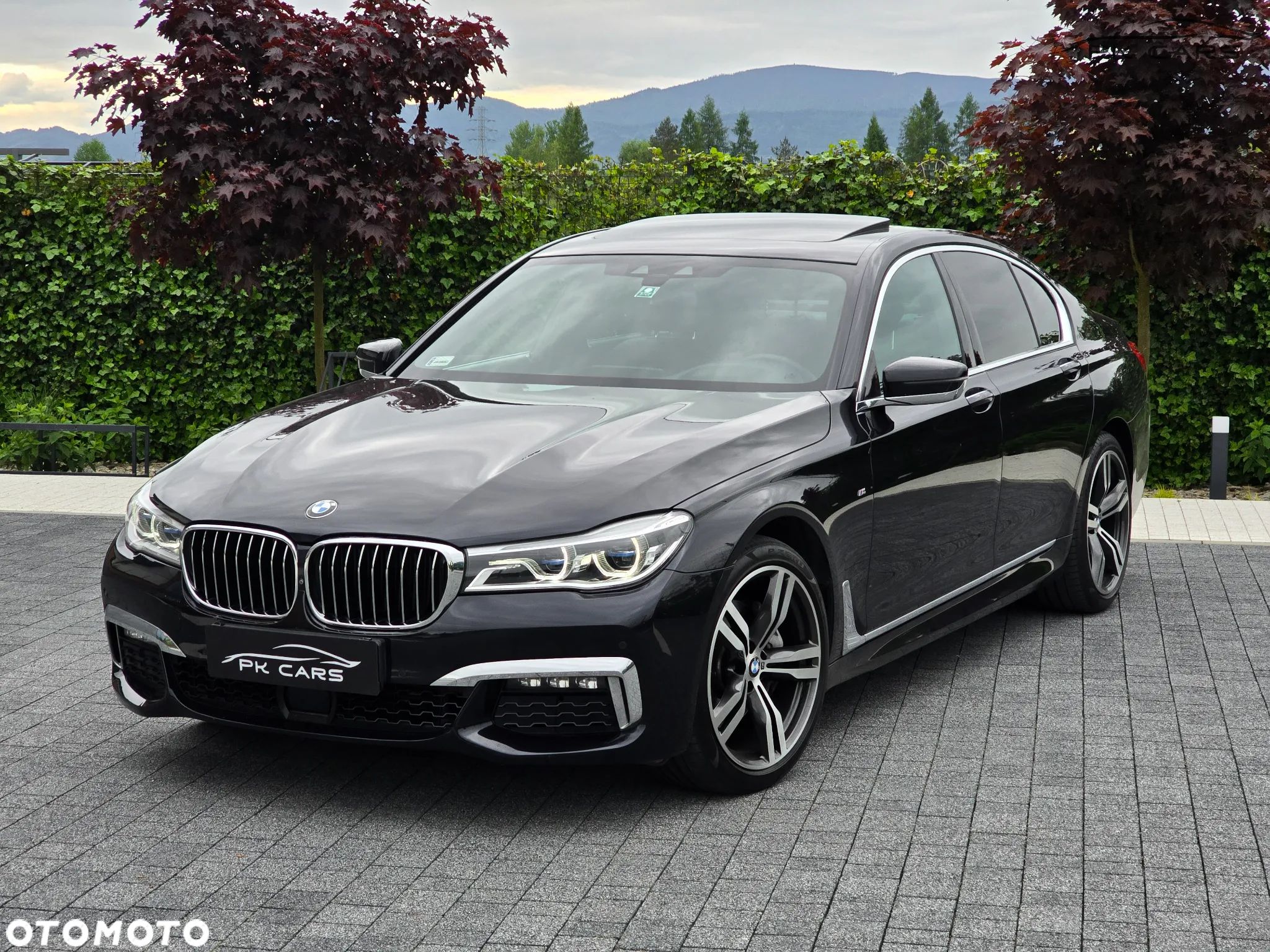 BMW Seria 7 730d xDrive - 1