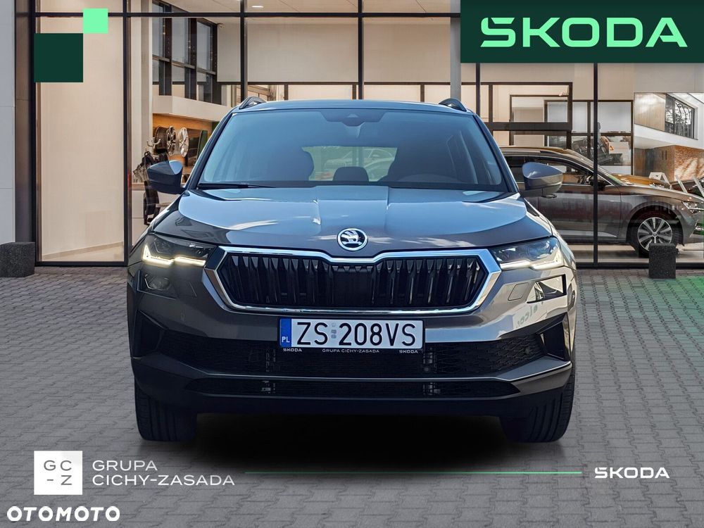 Skoda Karoq - 9