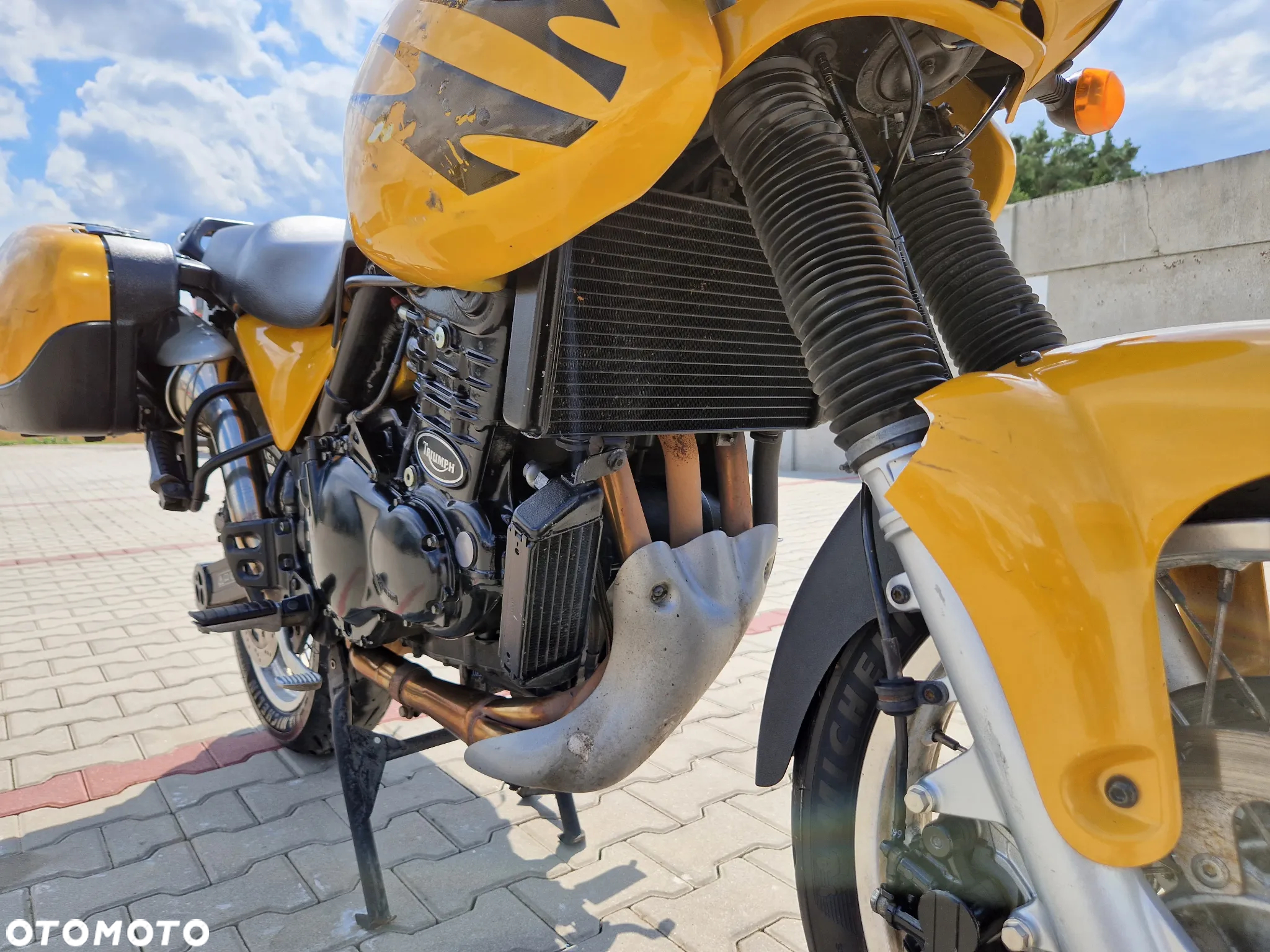 Triumph Tiger - 38