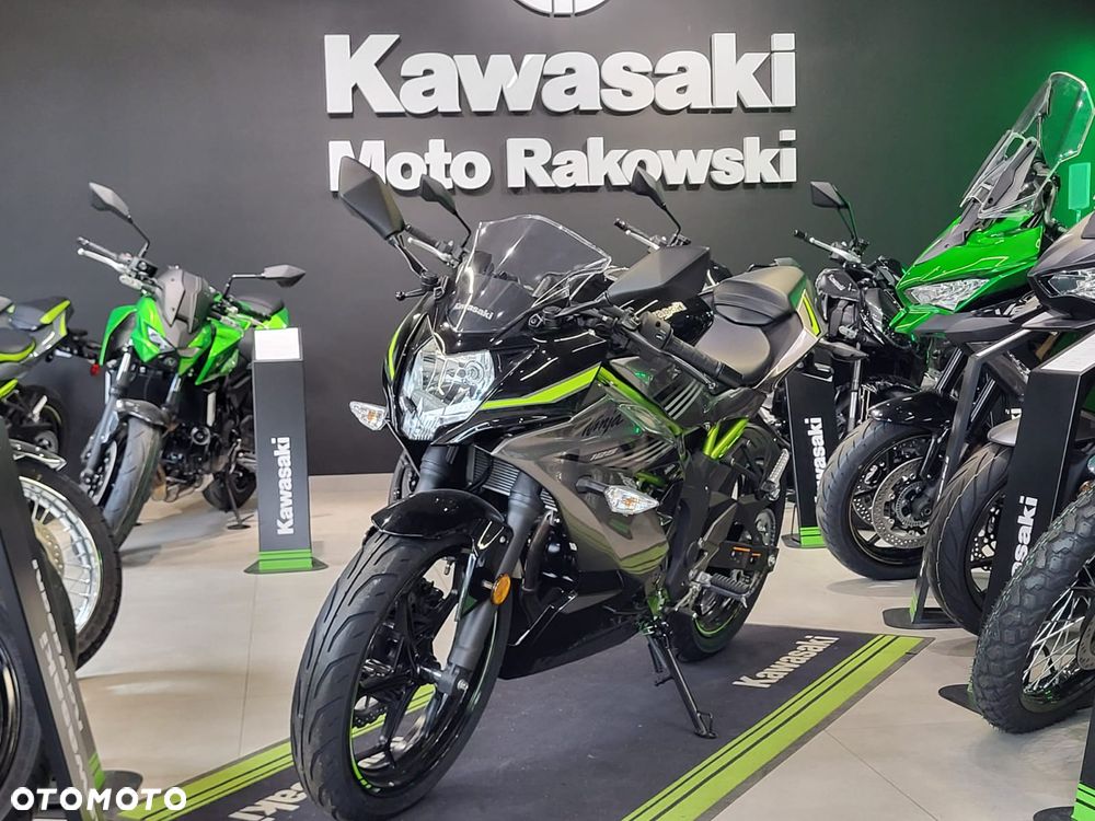Kawasaki Ninja - 7