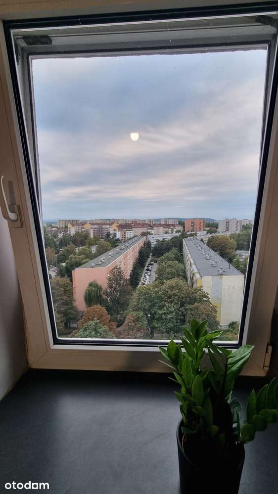 Kawalerka do wynajęcia 34,5 m2 - Kraków ul. Krowoderskich Zuchów