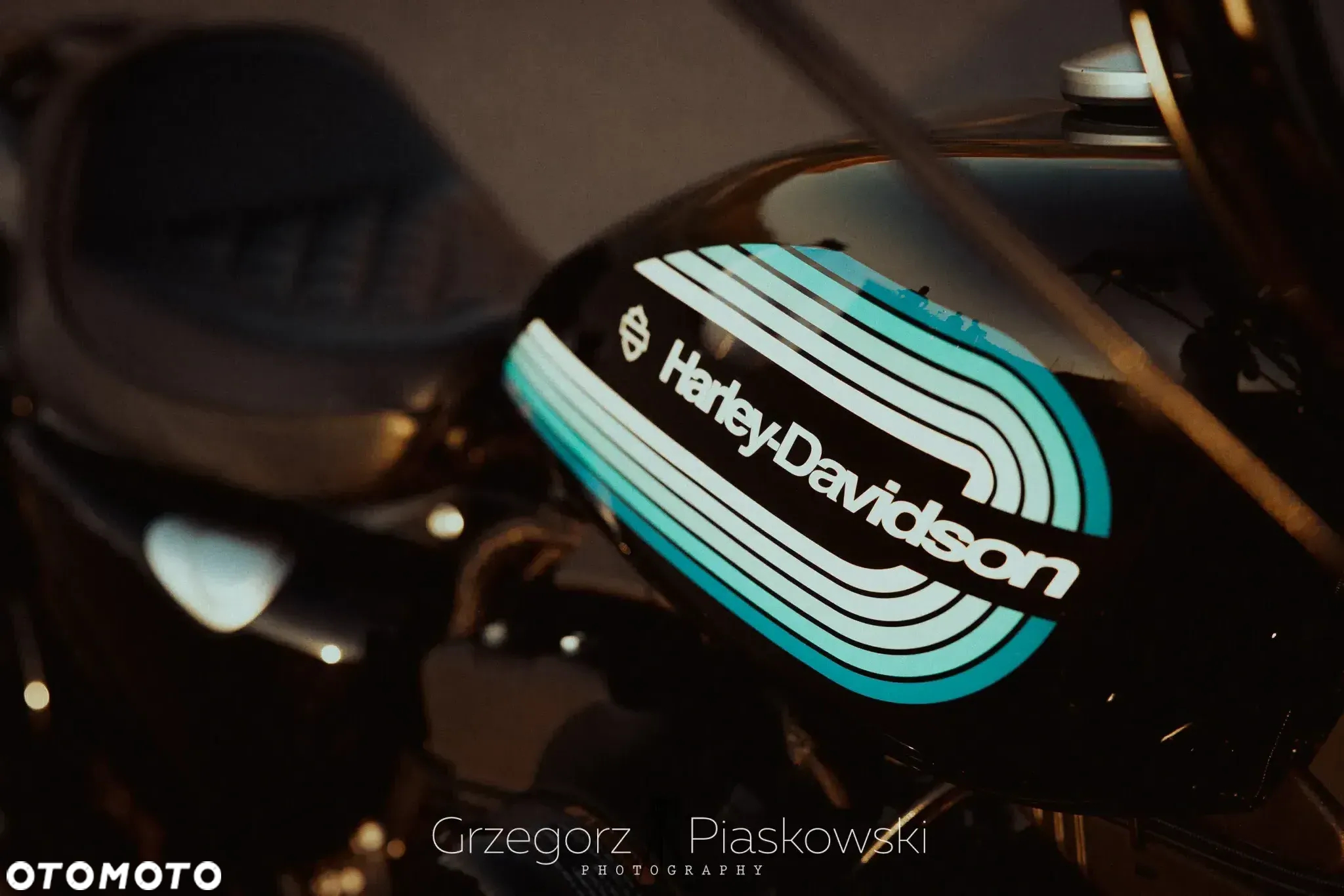 Harley-Davidson Sportster Iron 1200 - 2