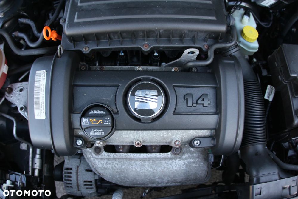 Seat Ibiza - 39