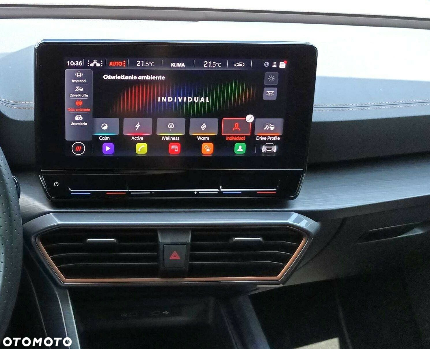 Cupra Formentor - 31