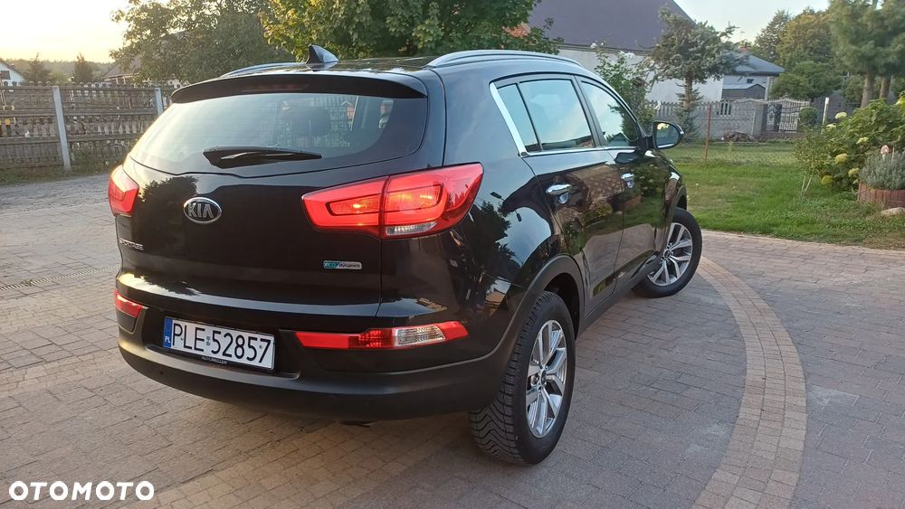Kia Sportage 2014 photo 3