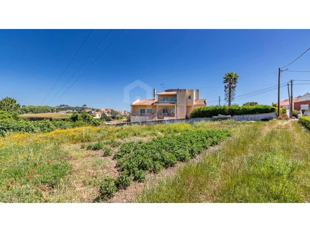 Vende Terreno - Ericeira 15 Km, A Casa das Casas - Grande imagem: 5/14