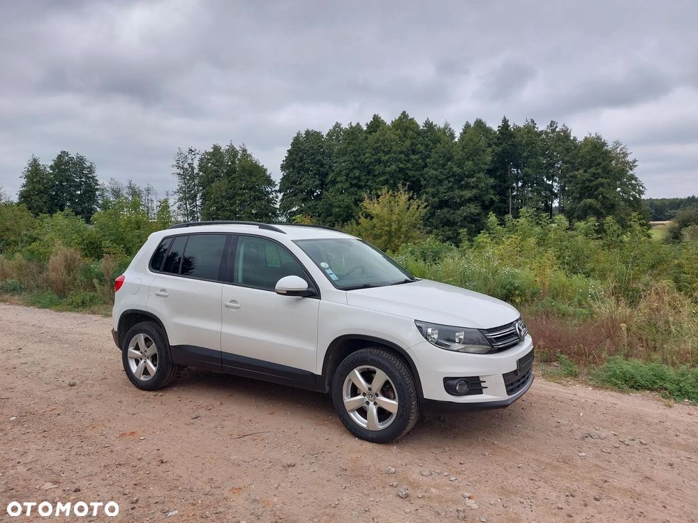 Volkswagen Tiguan - 21